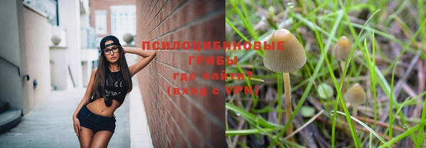 таблы Богородск