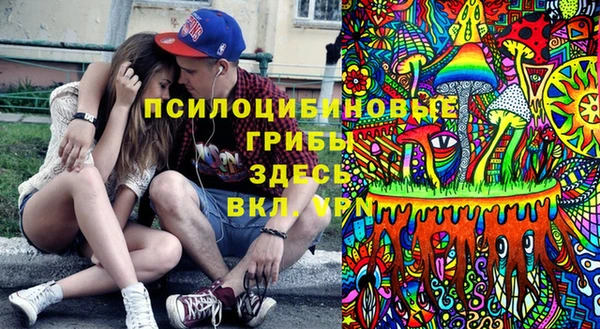 таблы Богородск