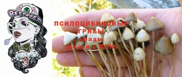 первитин Богородицк