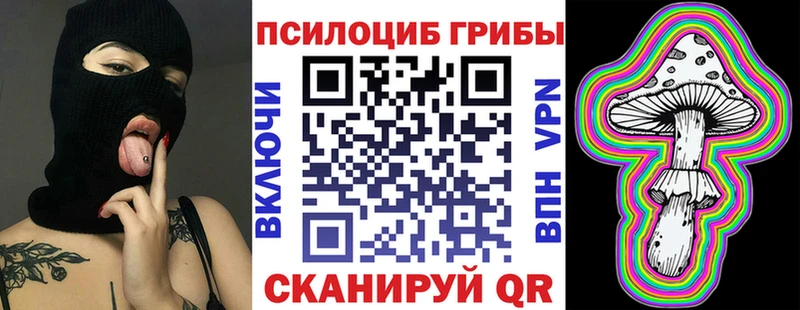 как найти   Киреевск  Галлюциногенные грибы Magic Shrooms 